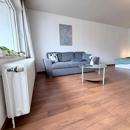 Ueber Den Daechern Von Borghorst - Direktes Zentrum Apartament *